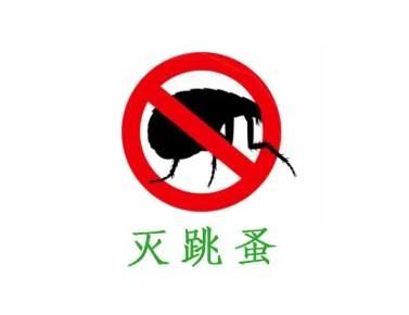 灭跳蚤