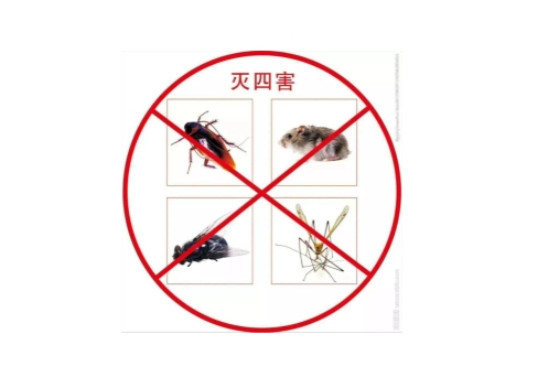 害虫消杀防治